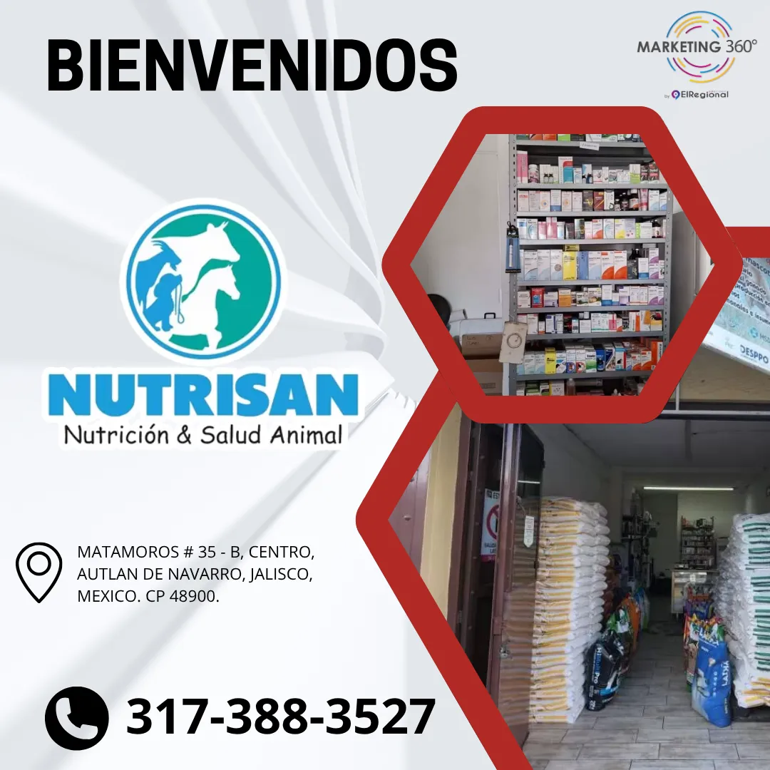 Diseño 2