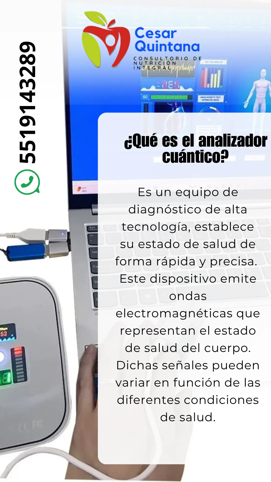 Diseño 43