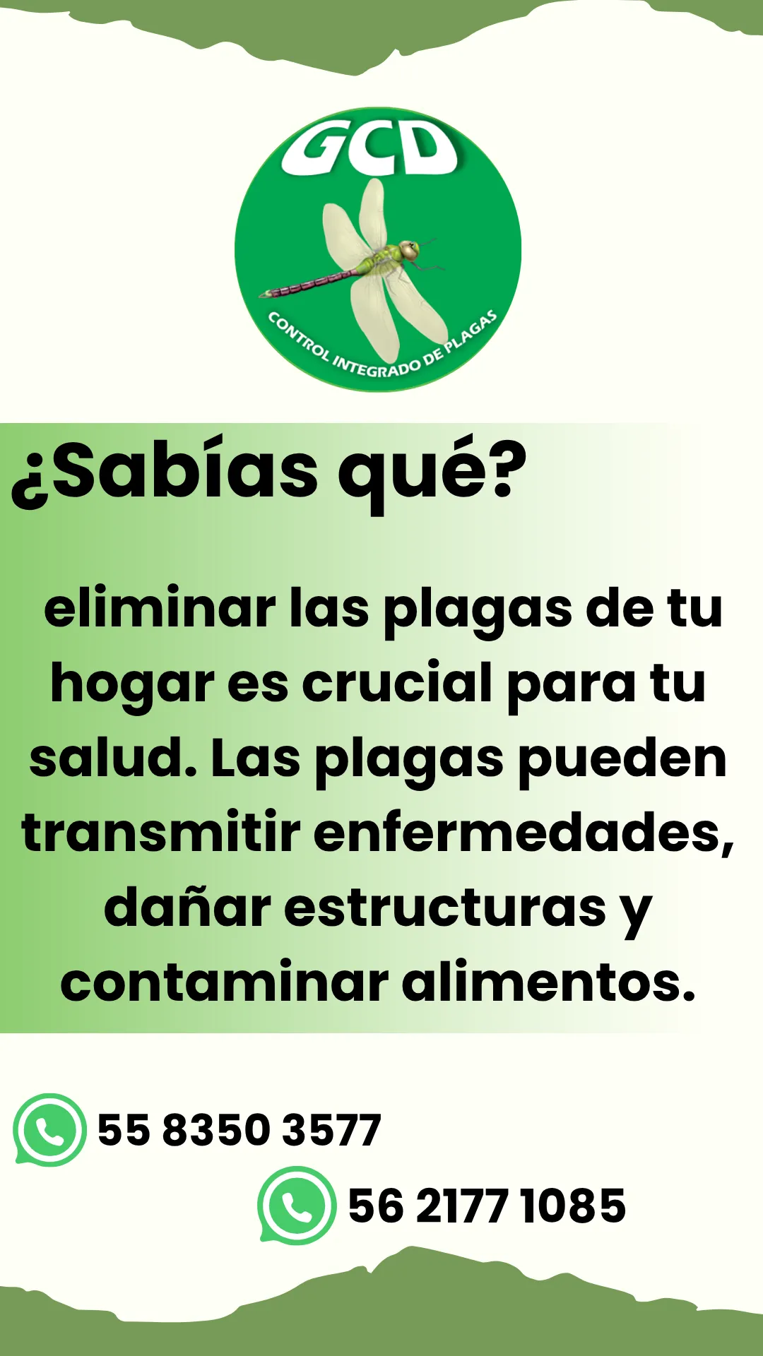 Diseño 29