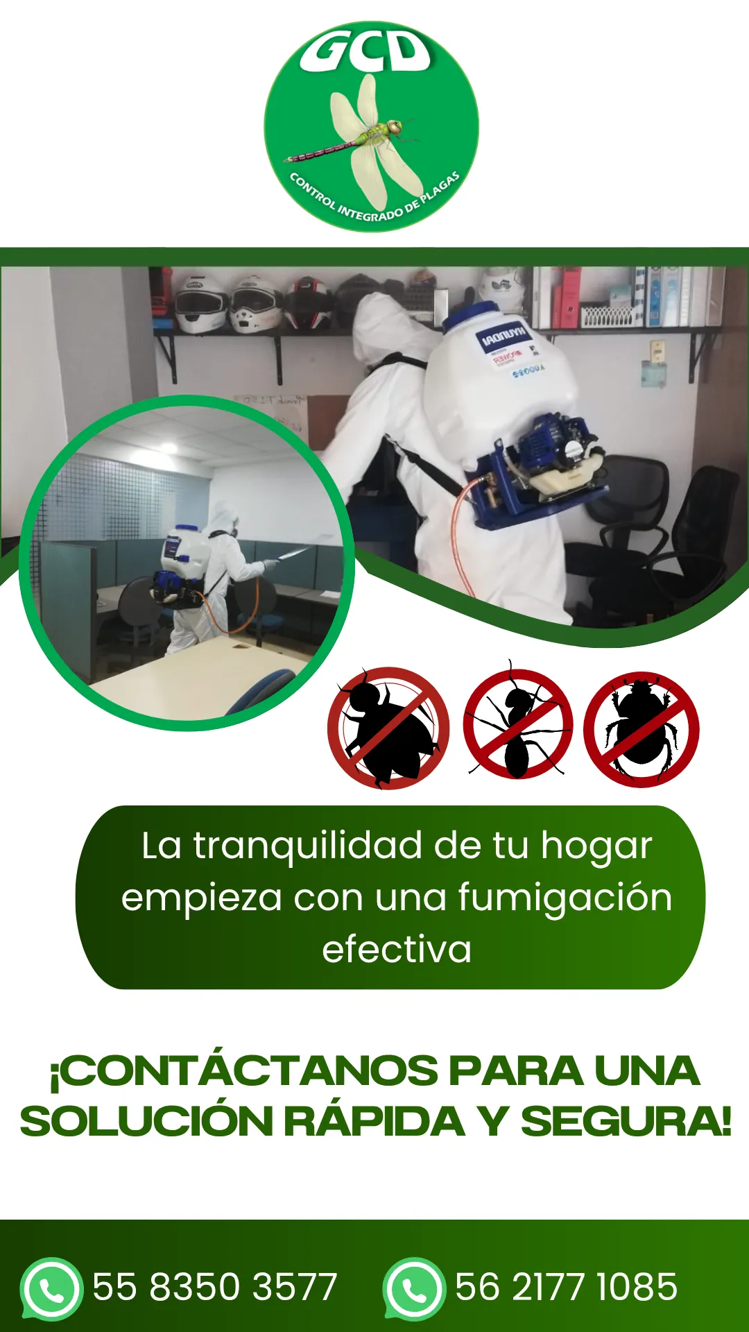 Diseño 48