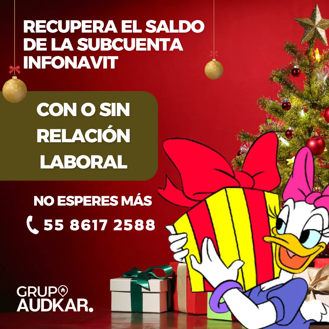 Diseño 15
