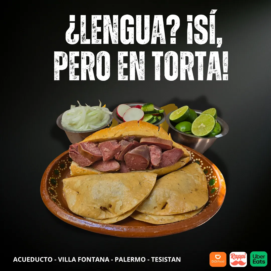 Diseño 19