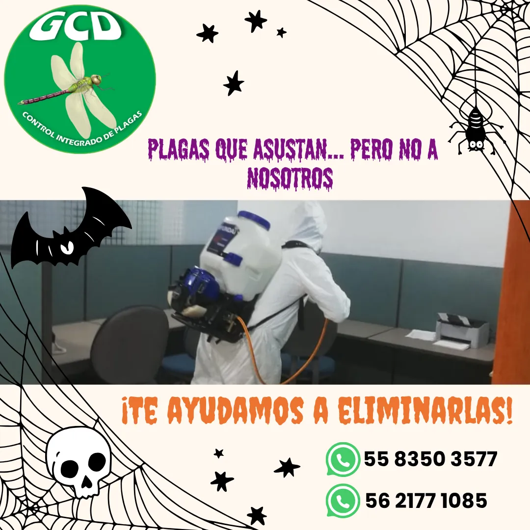 Diseño 122