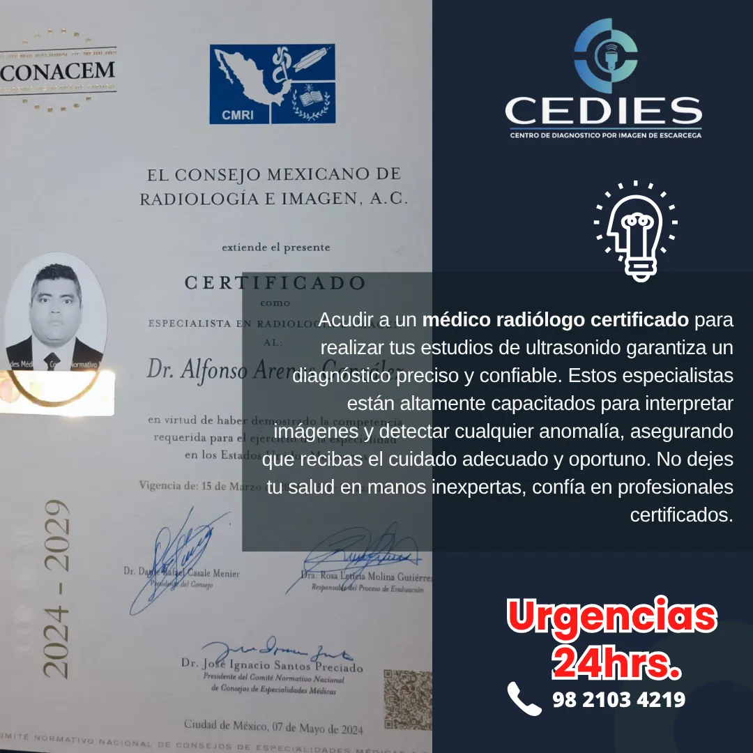 Diseño 31