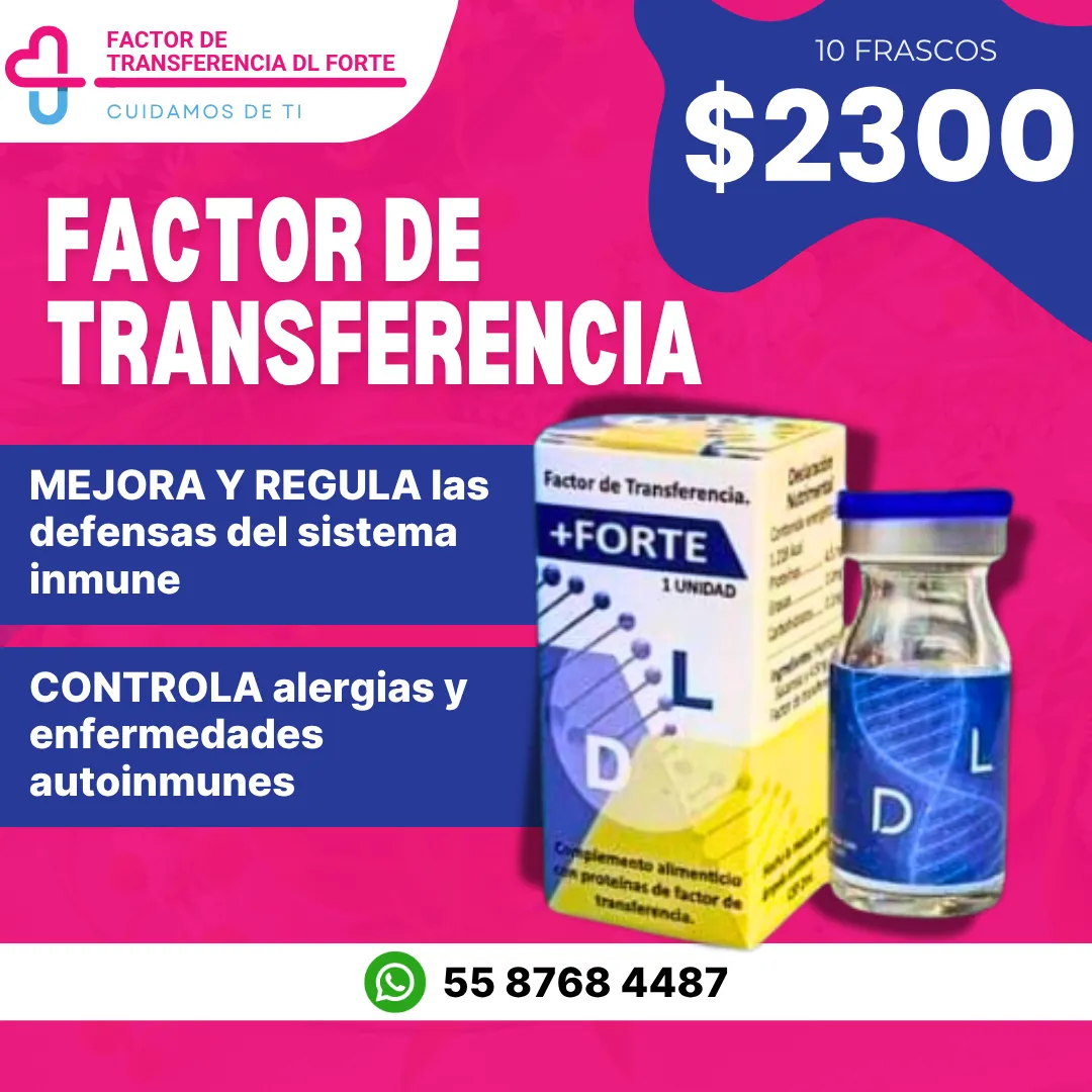 Diseño 8