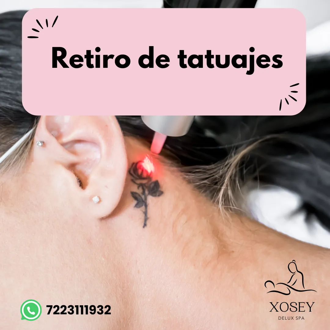 Diseño 29