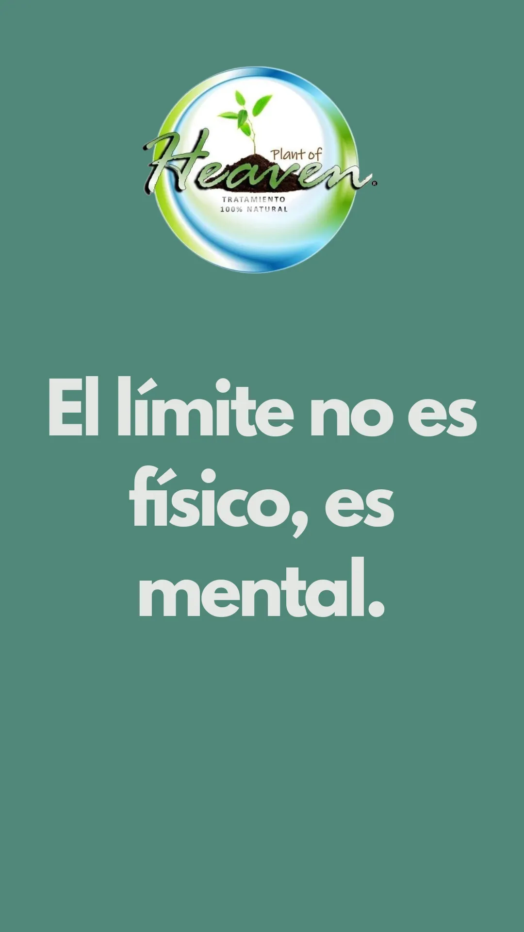 Diseño 9