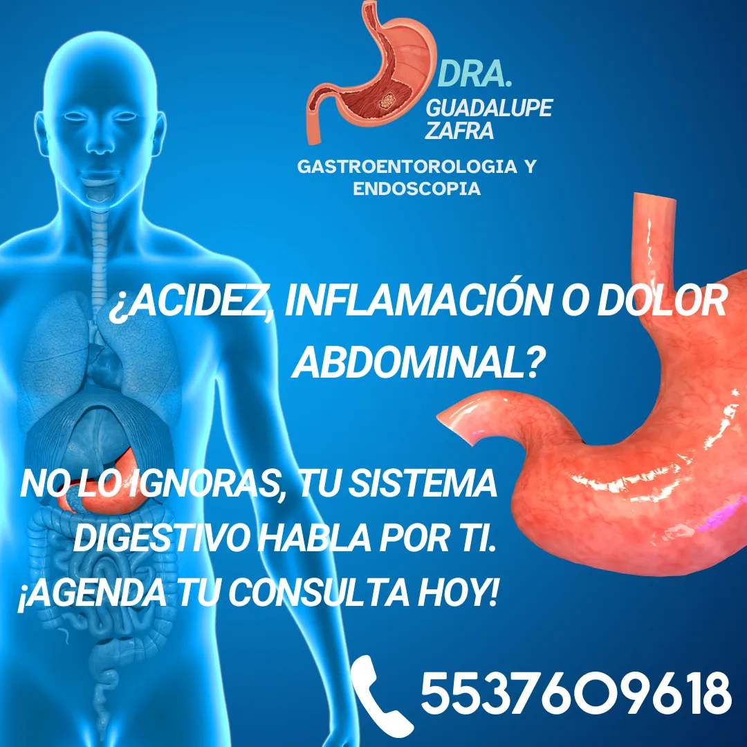 Diseño 13