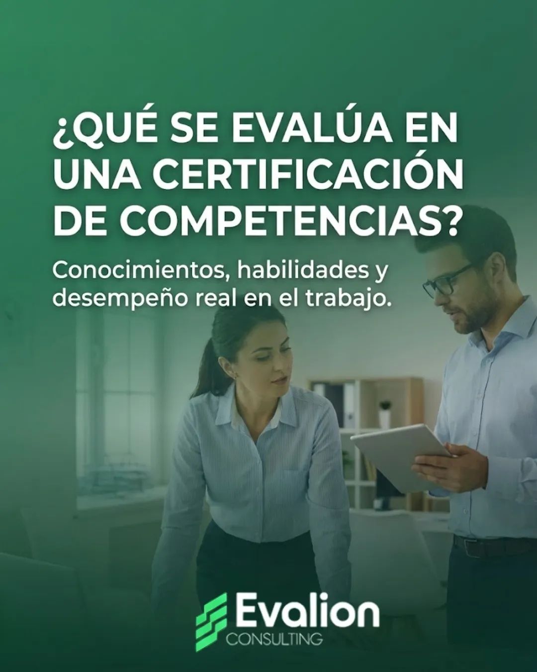 Diseño 29