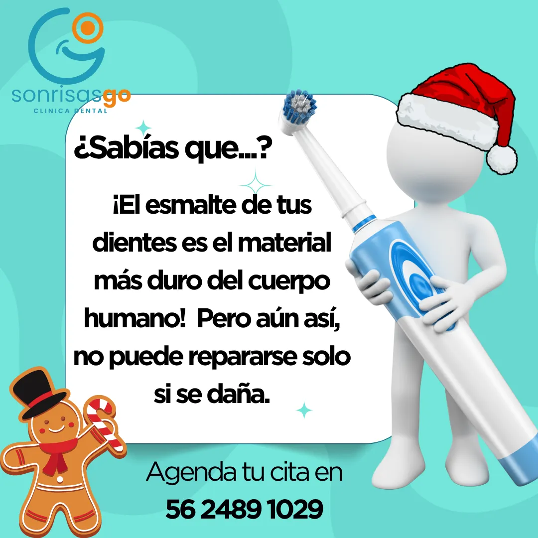 Diseño 57