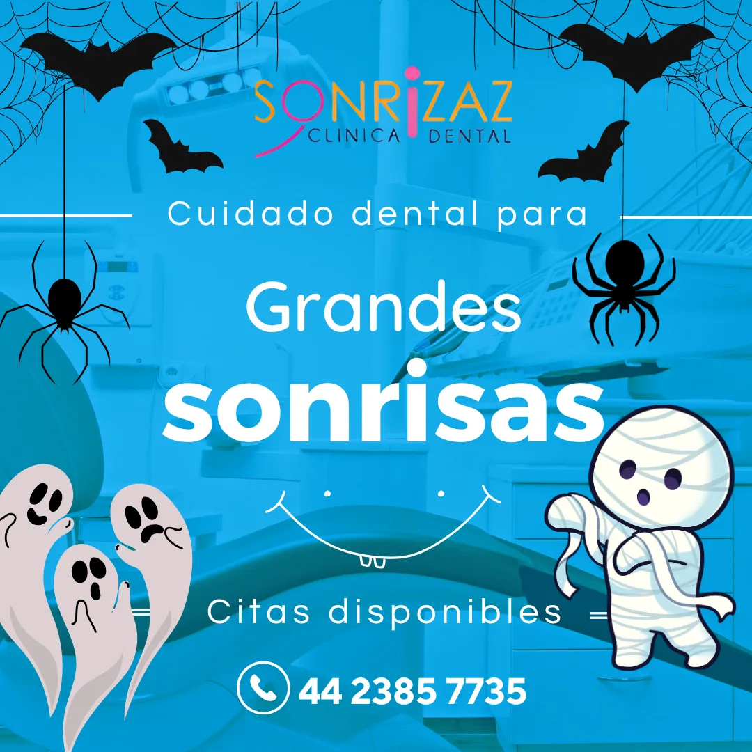 Diseño 29