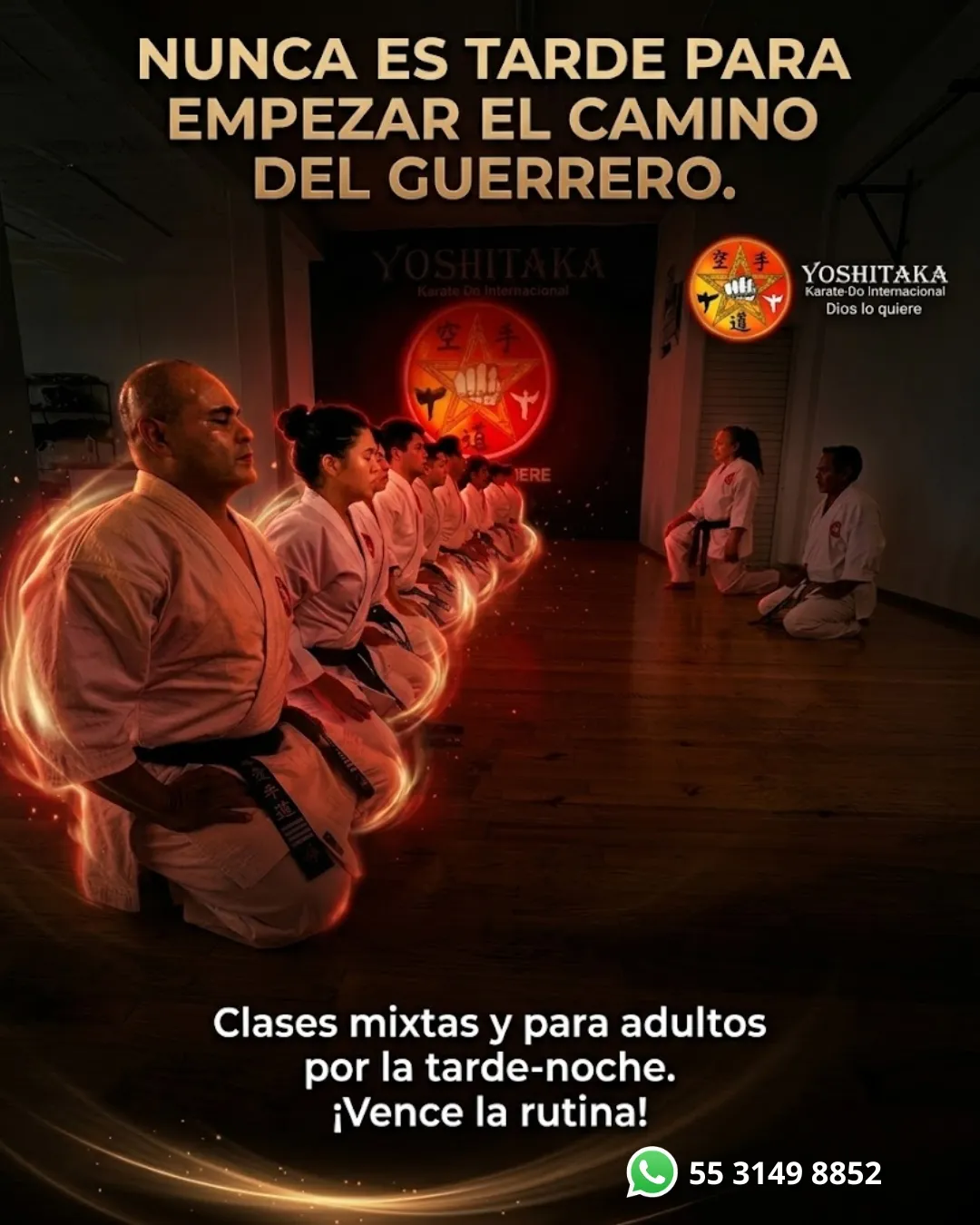 Diseño 12