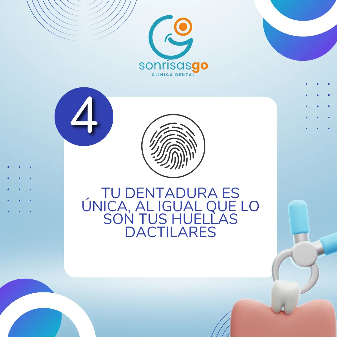 Diseño 33