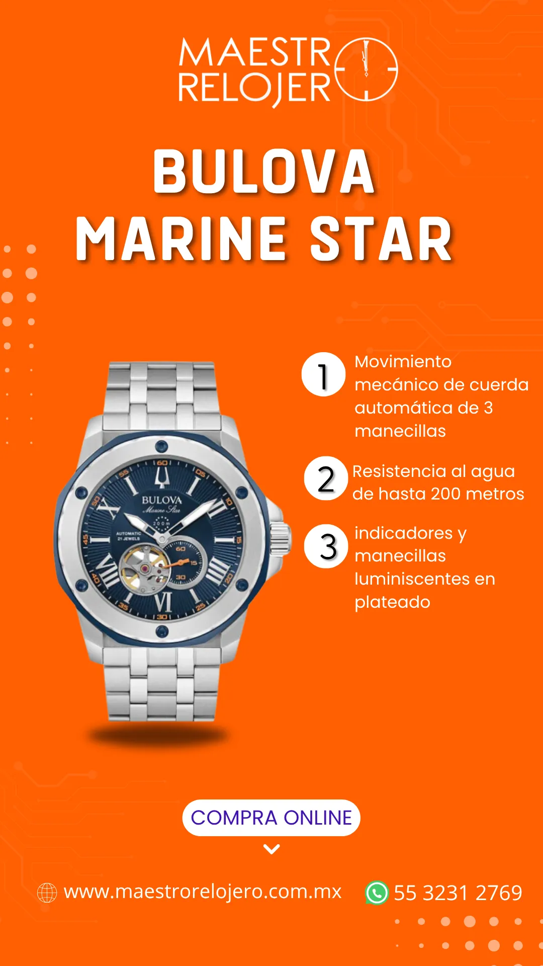 Diseño 16