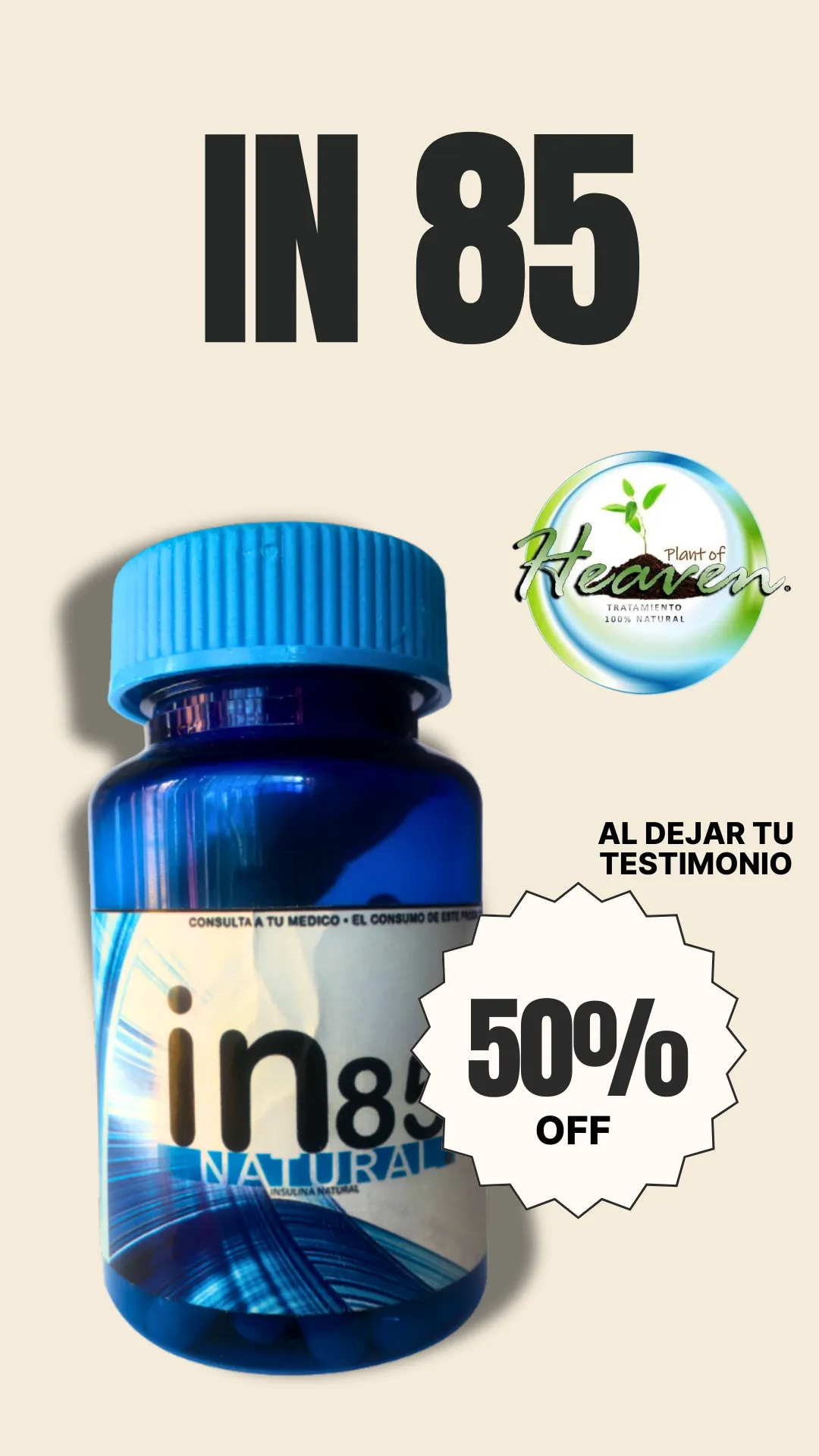 Diseño 15