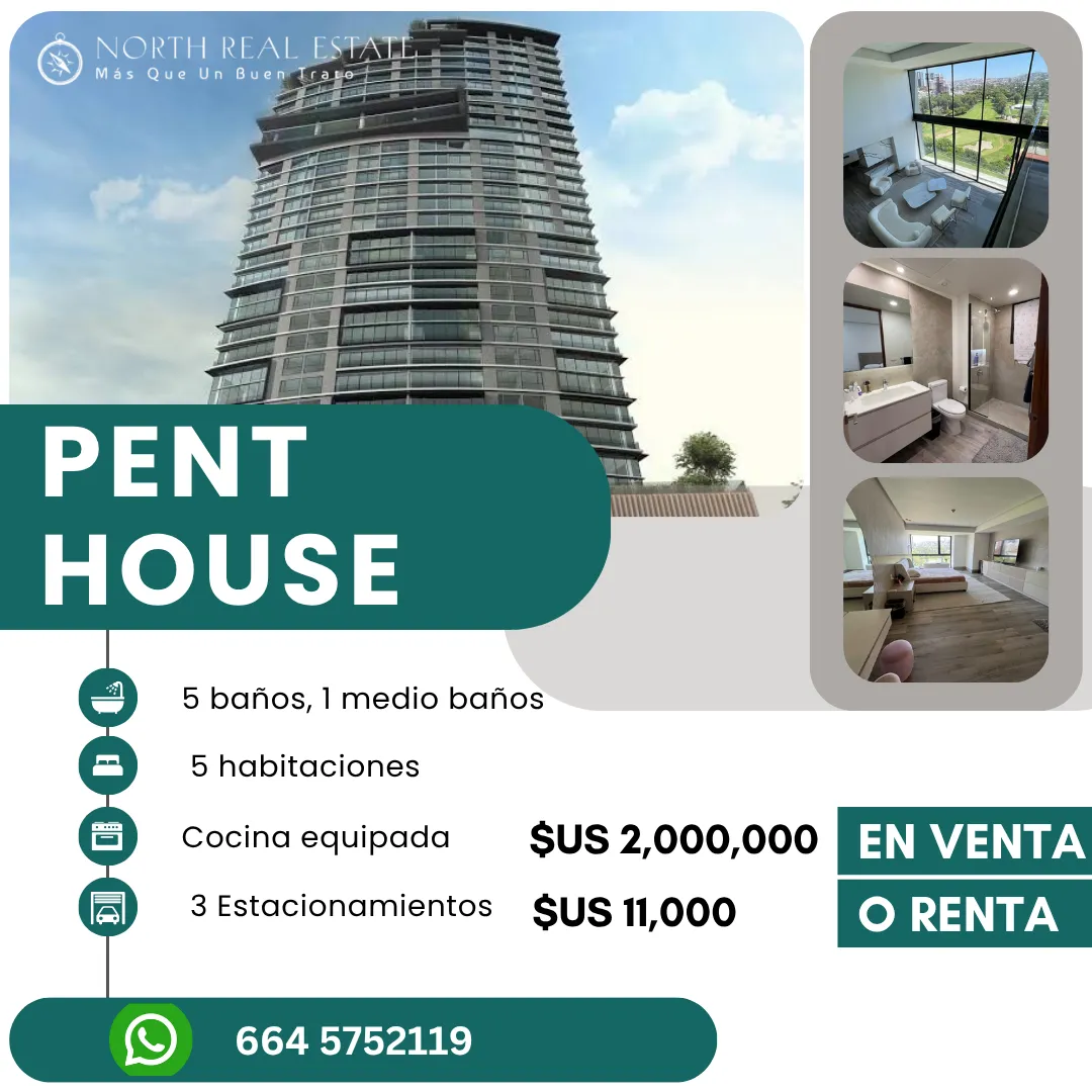 Diseño 8