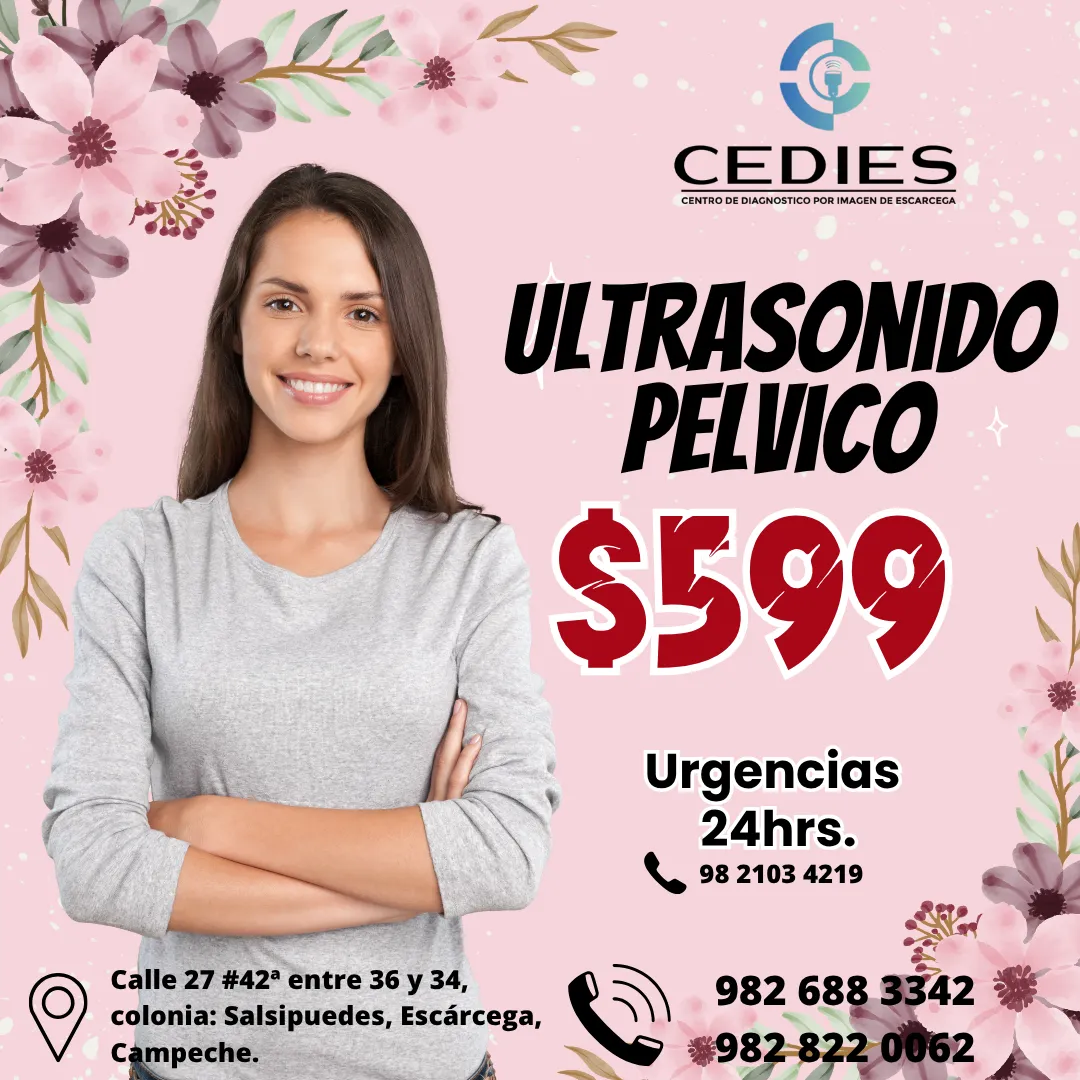 Diseño 95