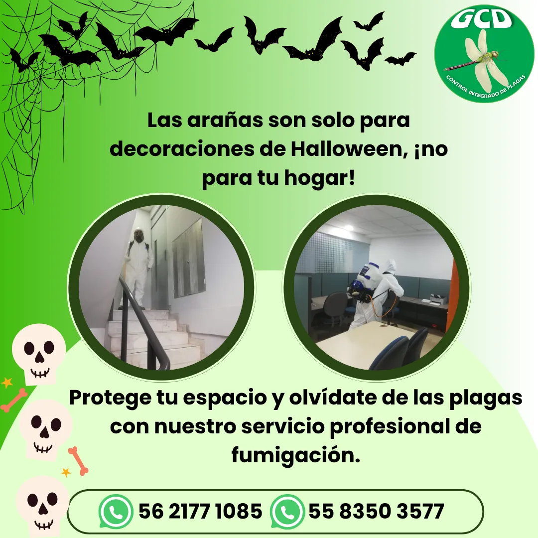 Diseño 120