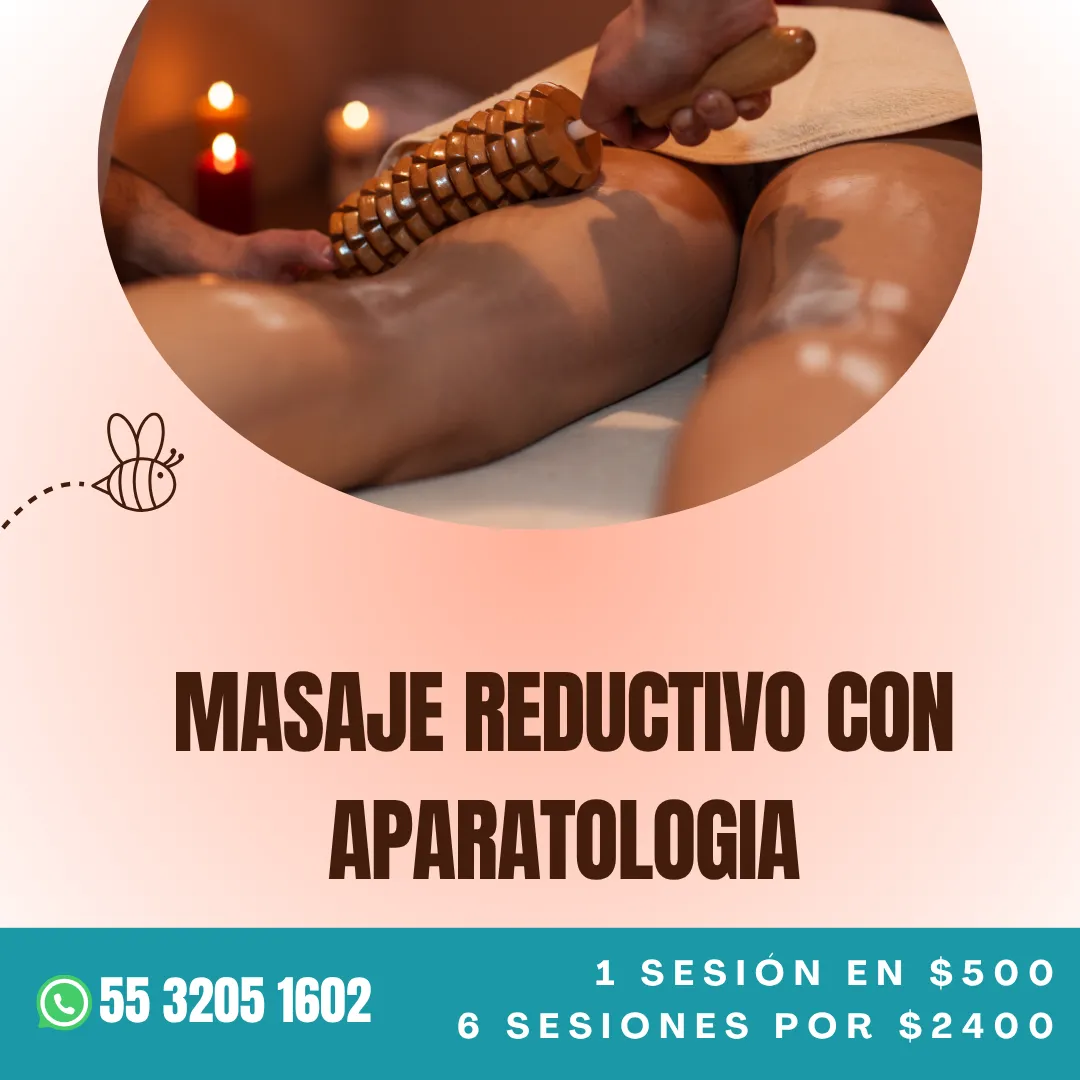 Diseño 53