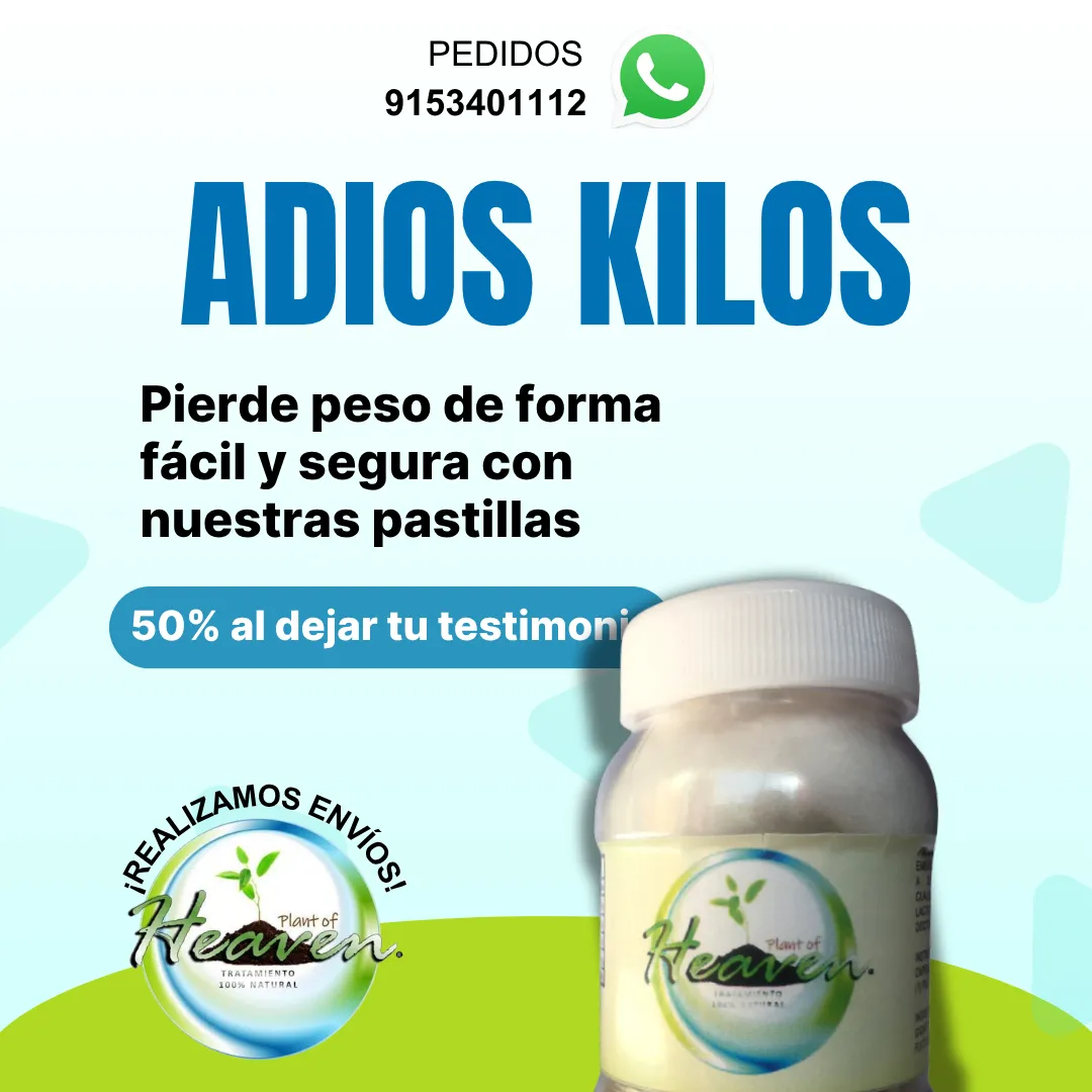 Diseño 14