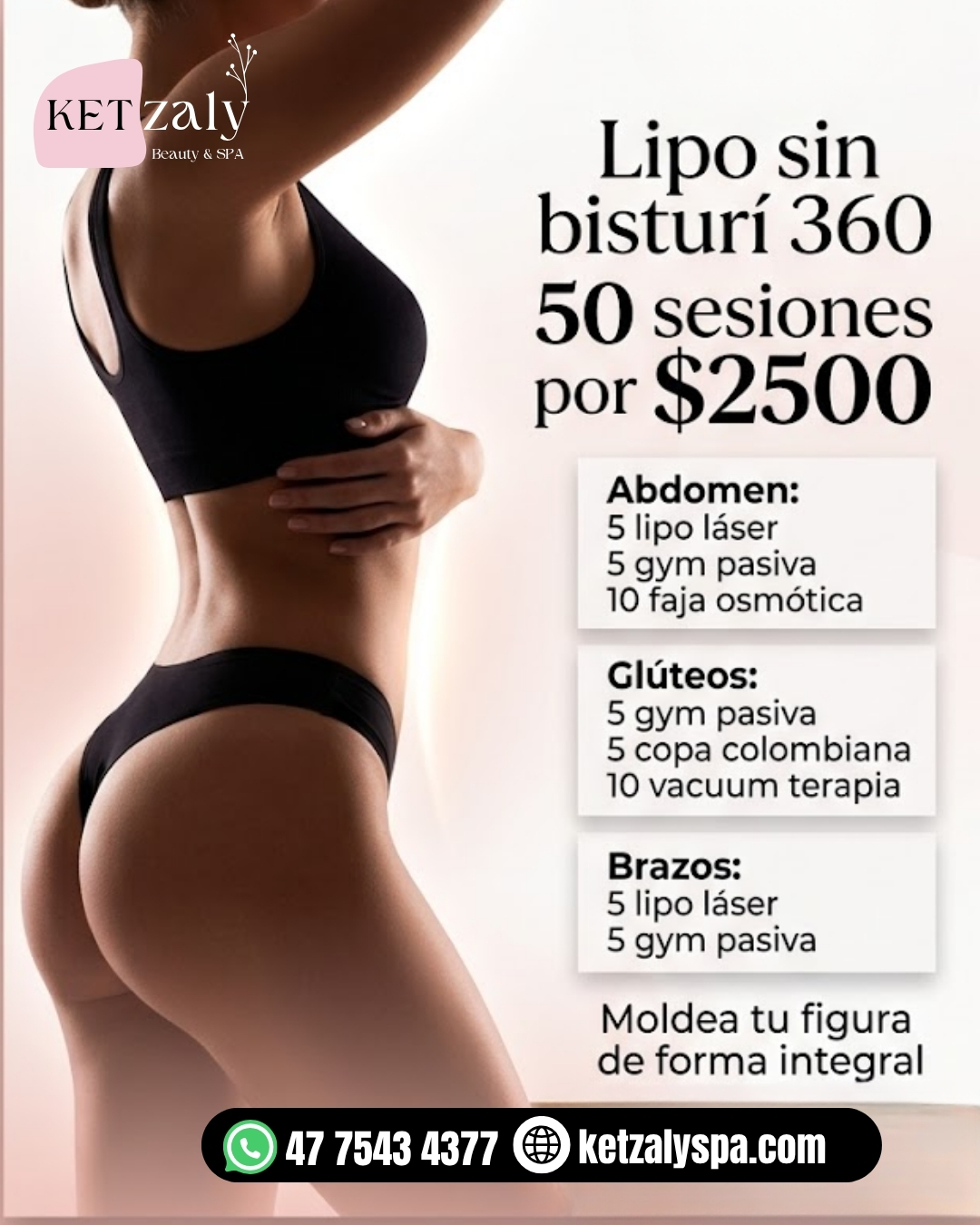 Diseño 130