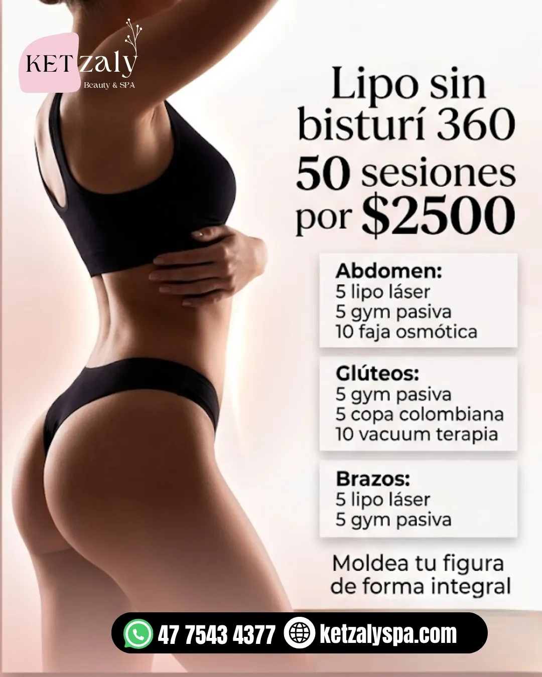 Diseño 130