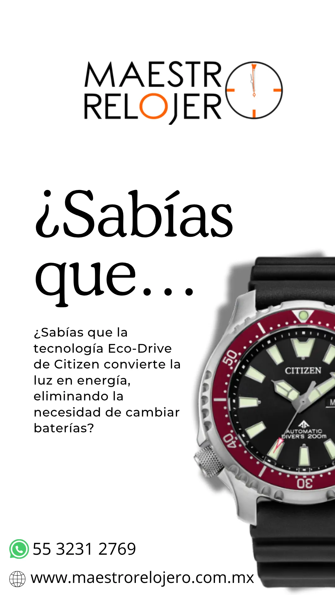 Diseño 96