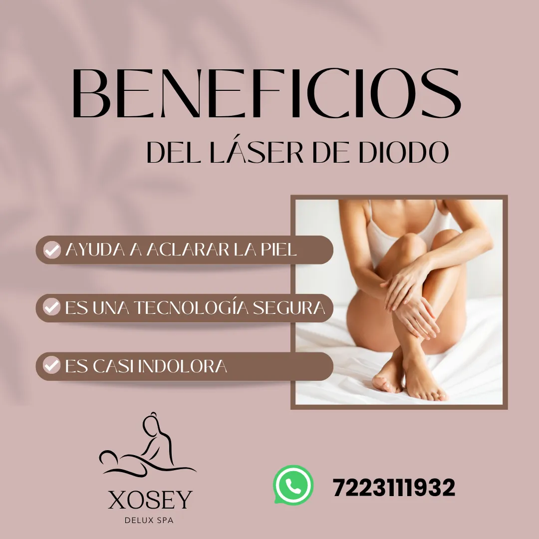 Diseño 12