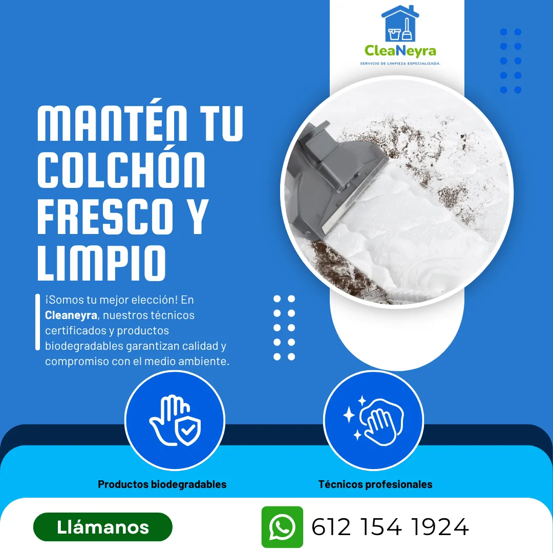 Diseño 16
