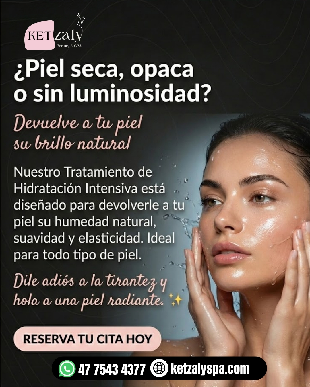 Diseño 66