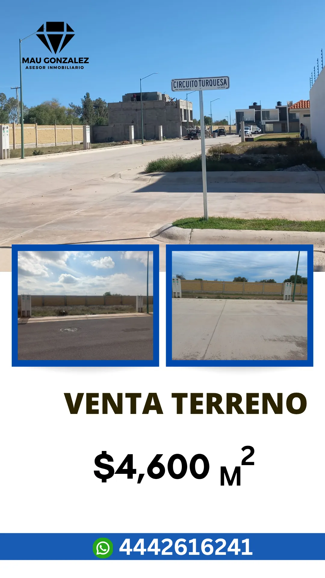 Diseño 5