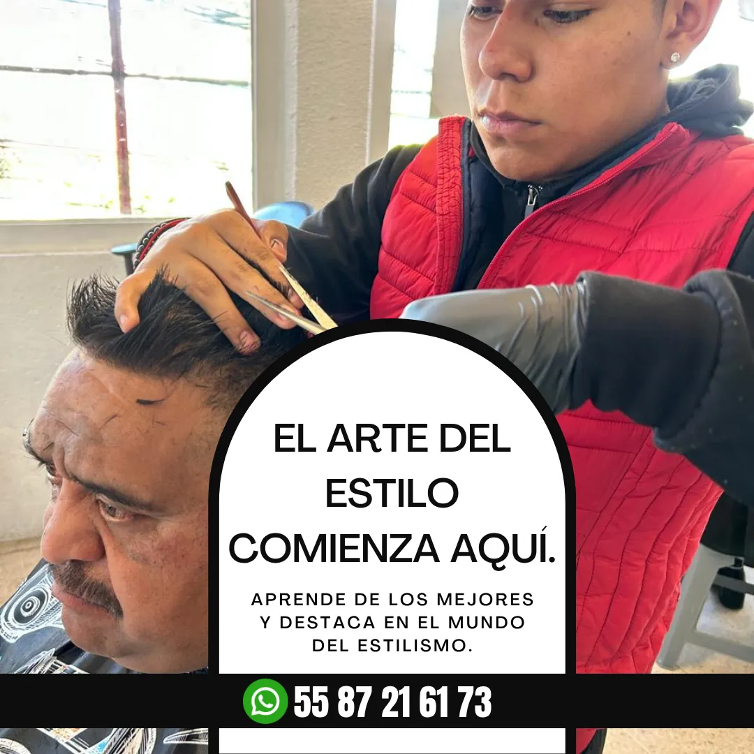 Diseño 29