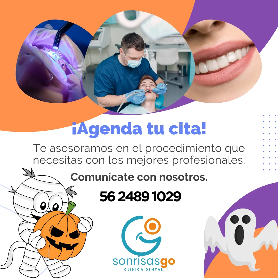 Diseño 144