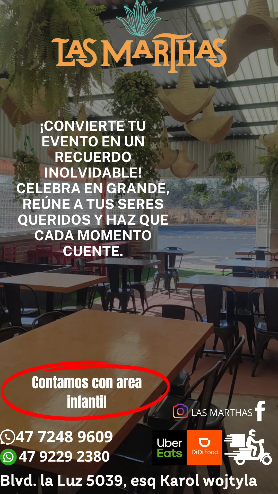 Diseño 85