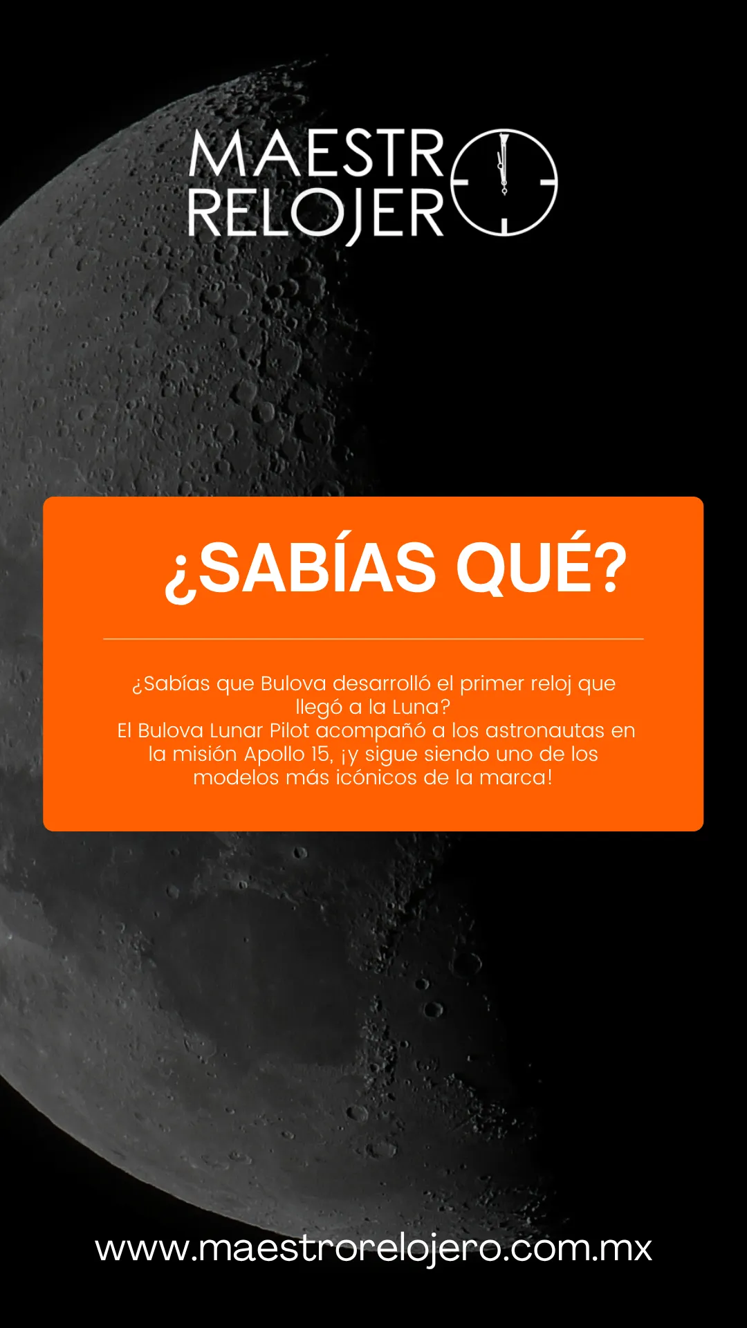 Diseño 7