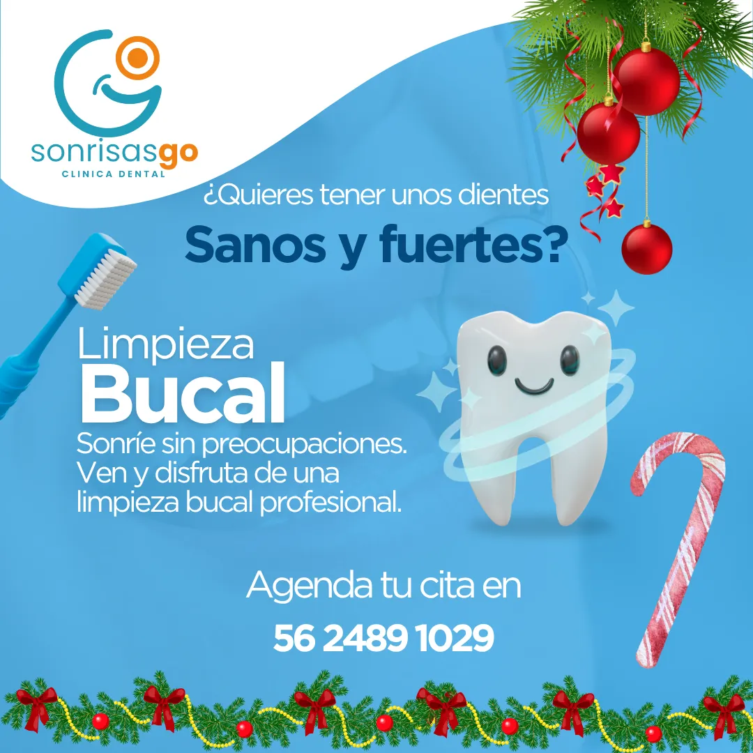 Diseño 44