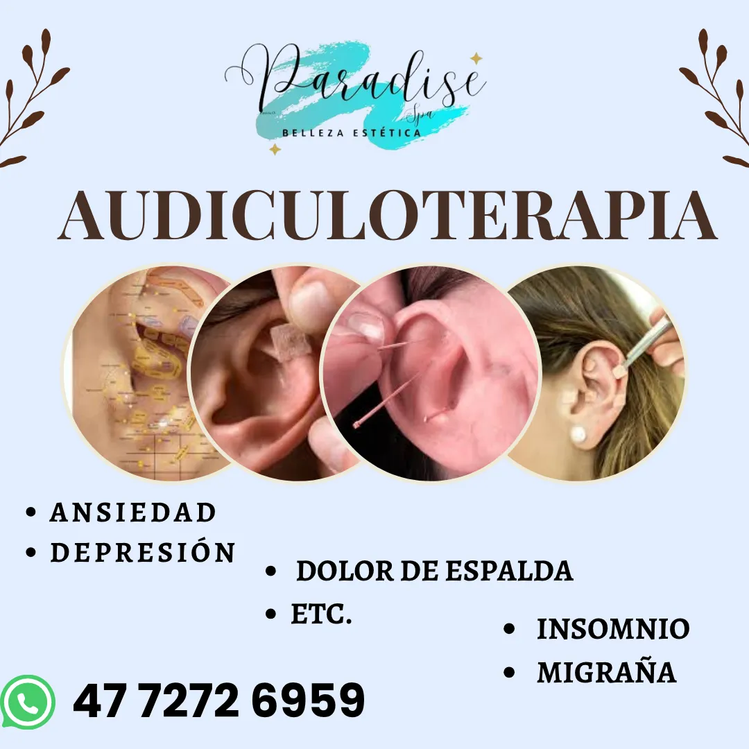 Diseño 72