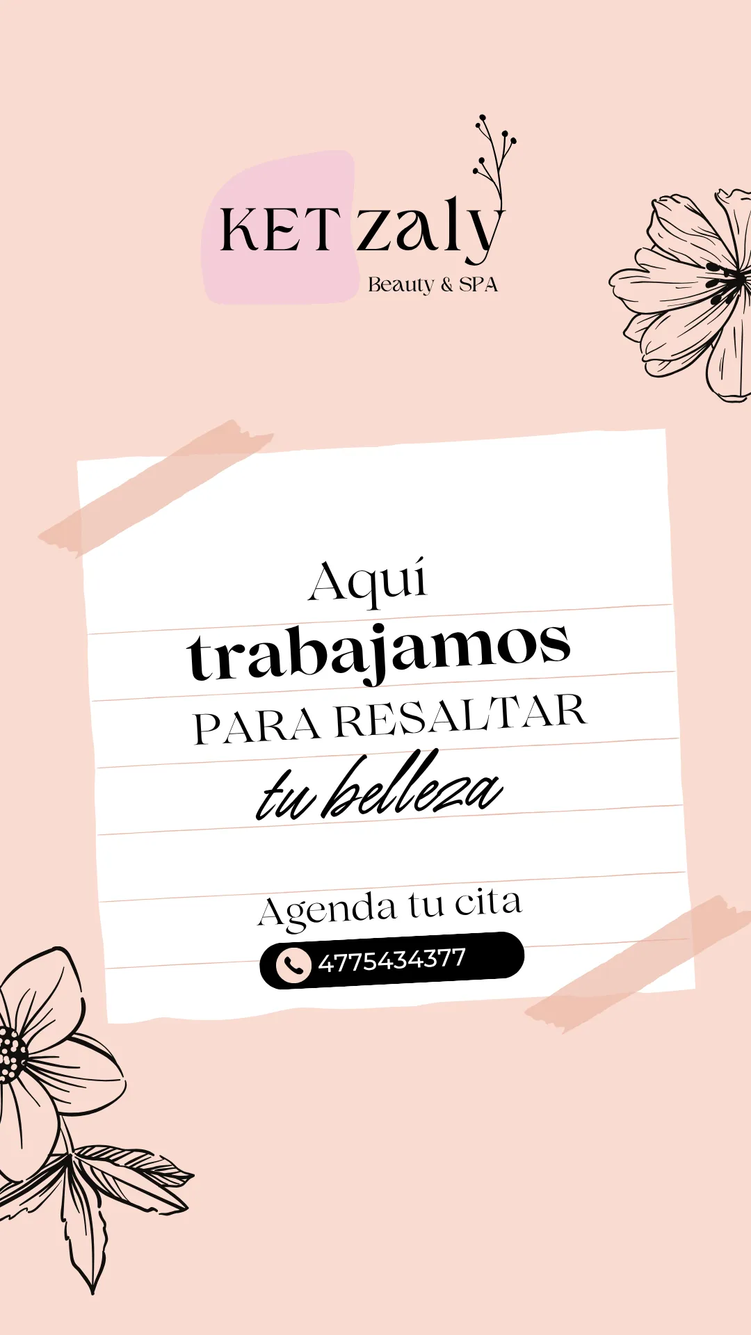 Diseño 116