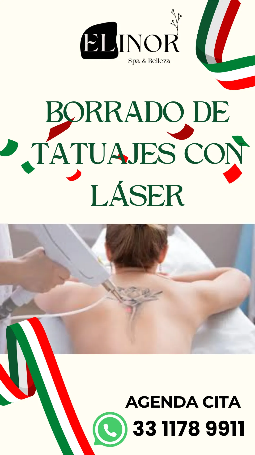 Diseño 107