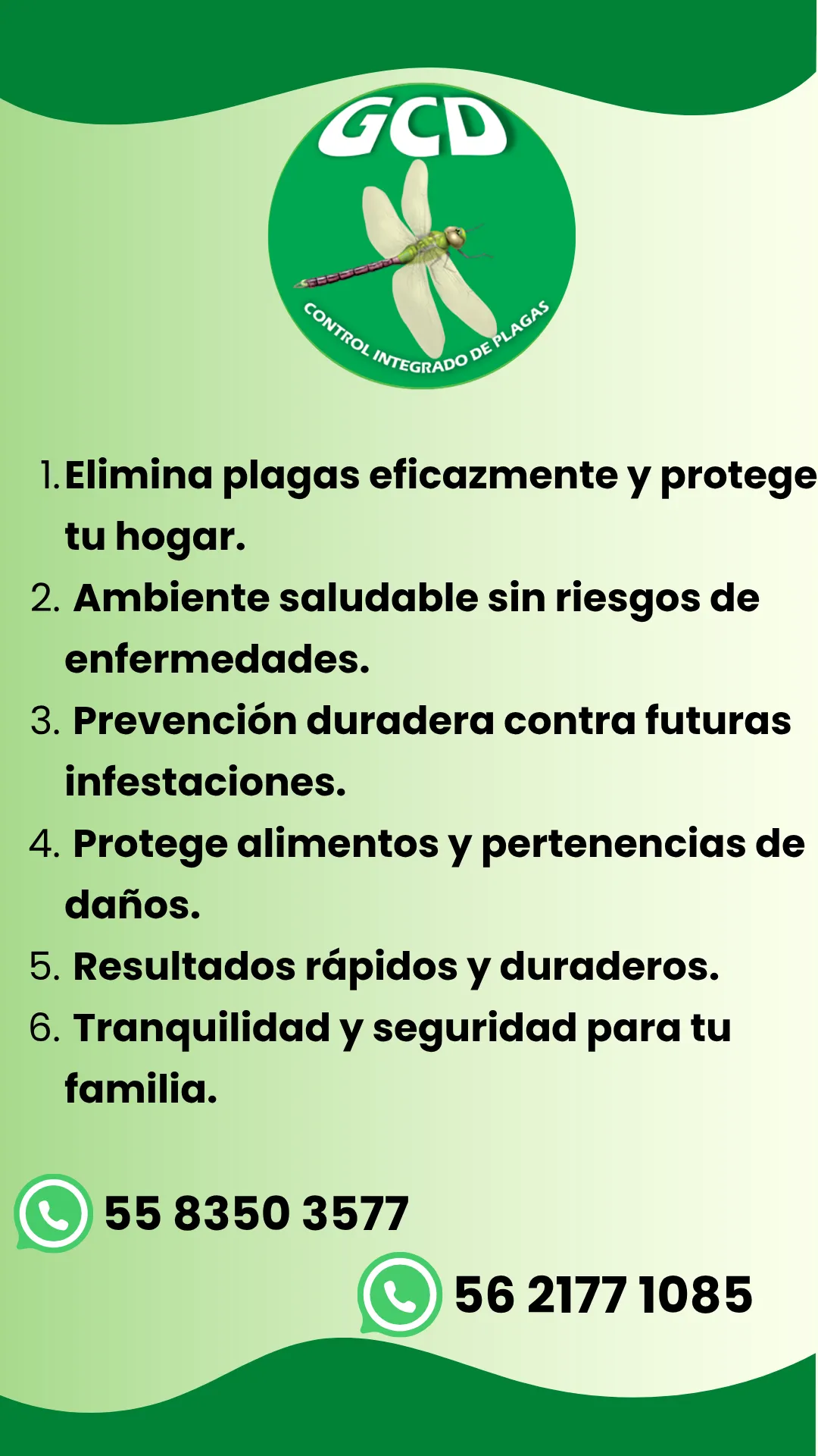 Diseño 31