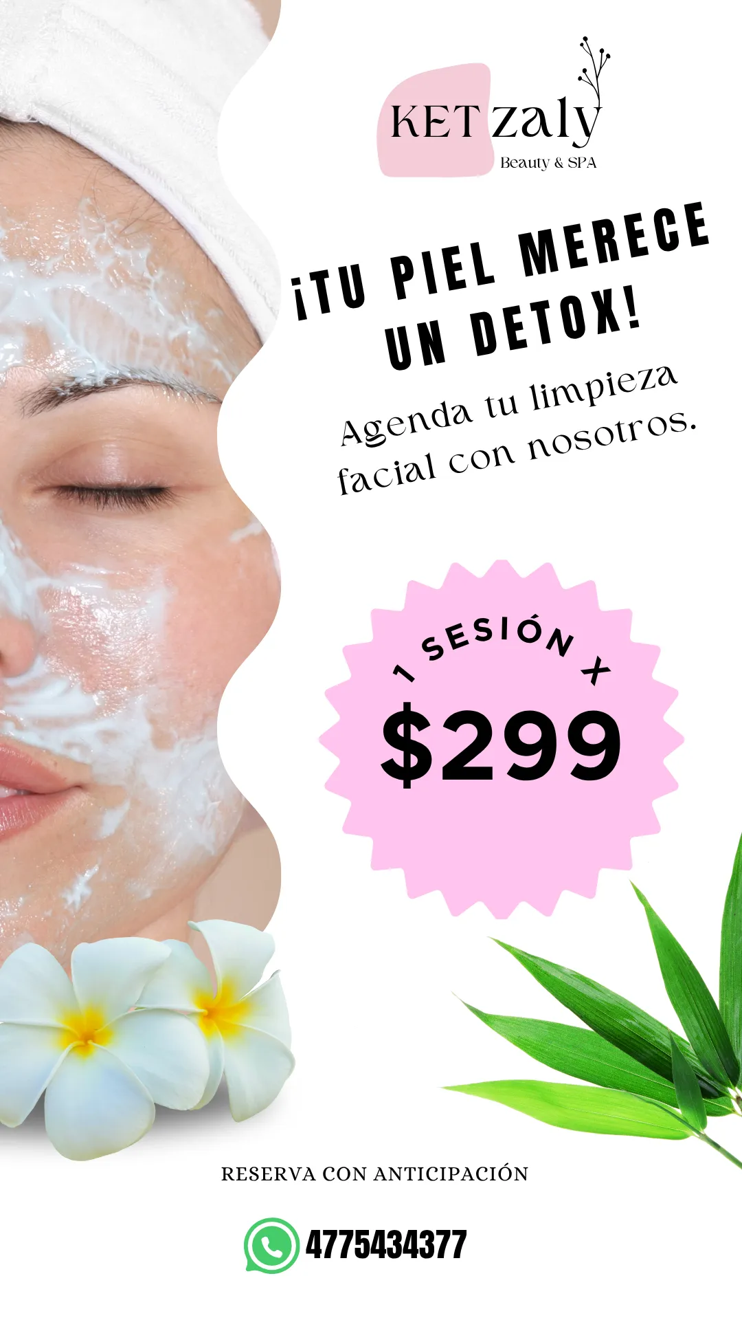 Diseño 43