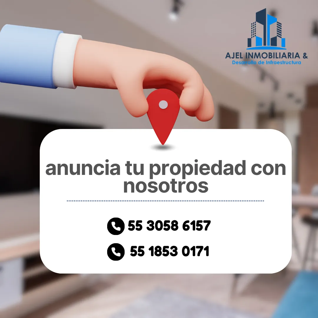 Diseño 15