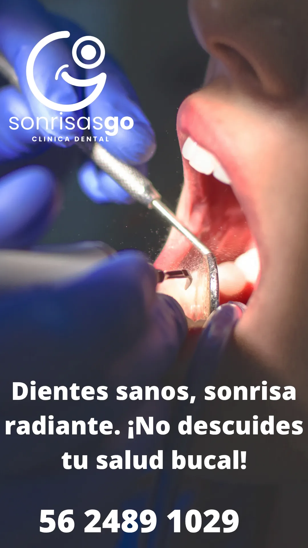 Diseño 95