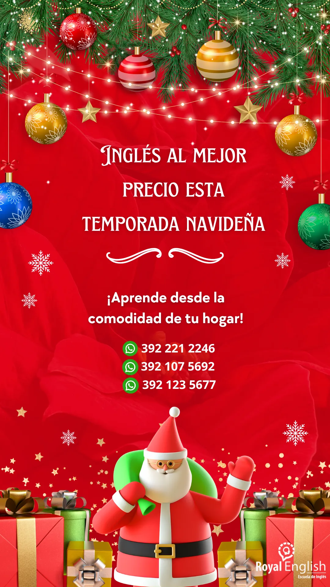 Diseño 15