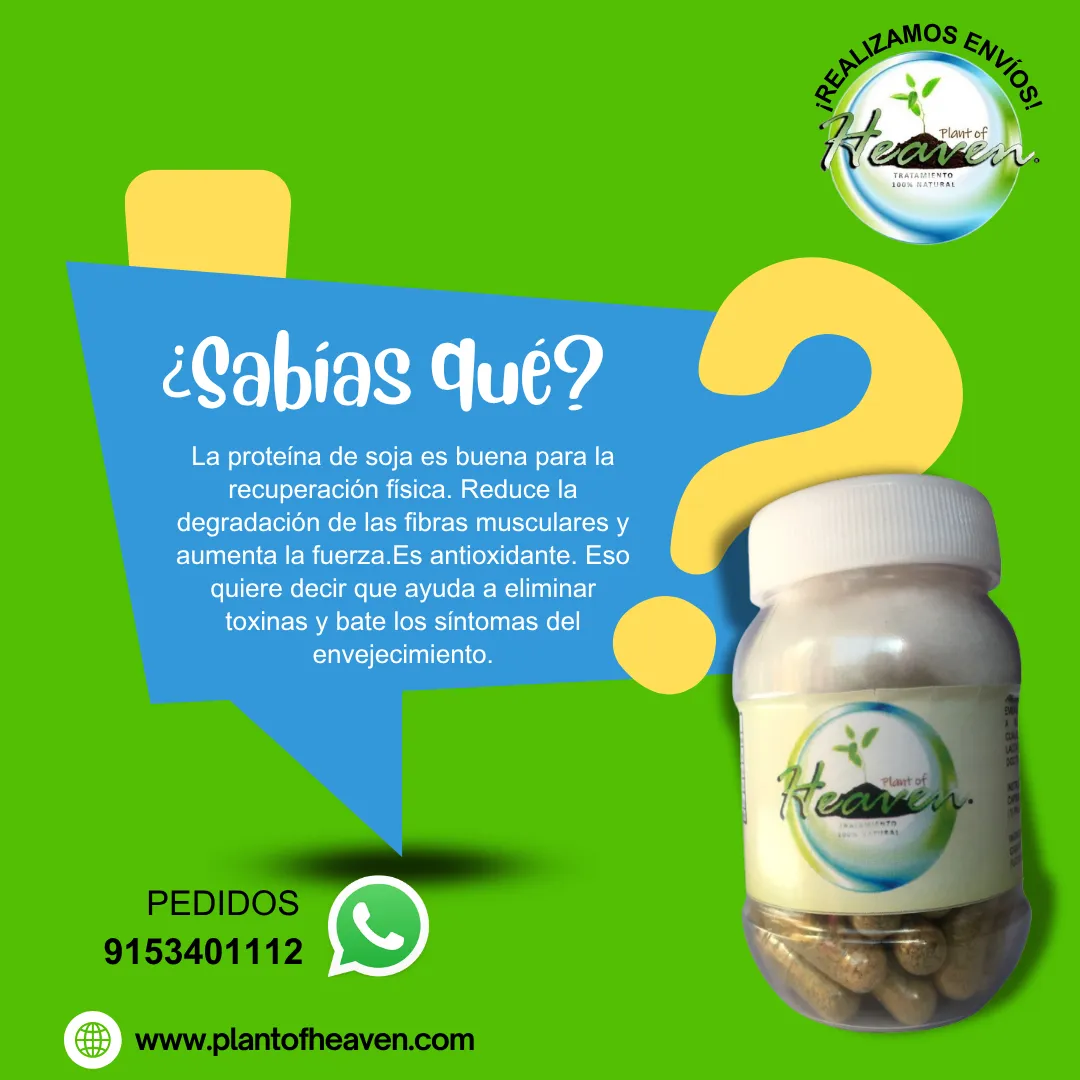 Diseño 8