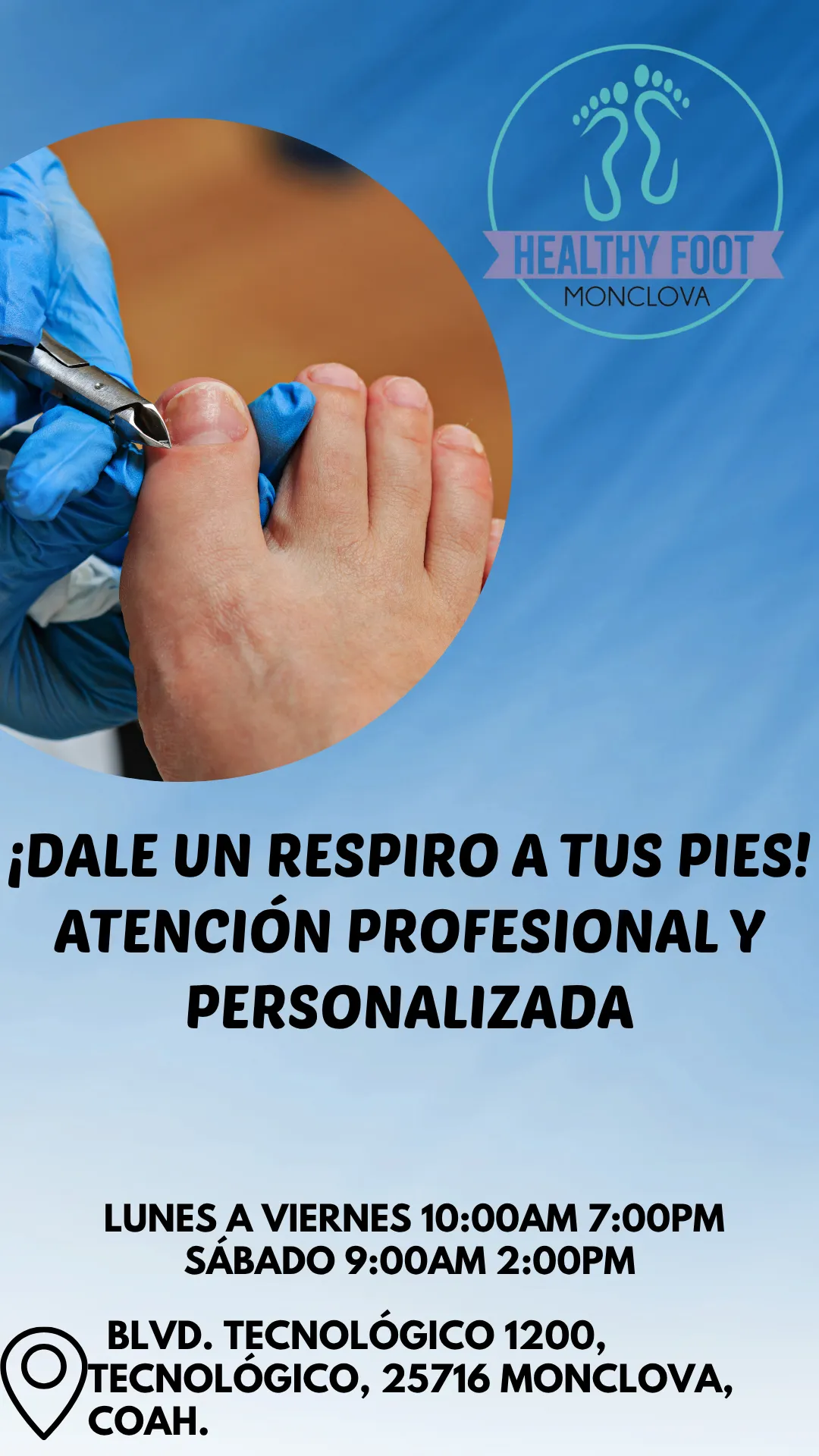 Diseño 119