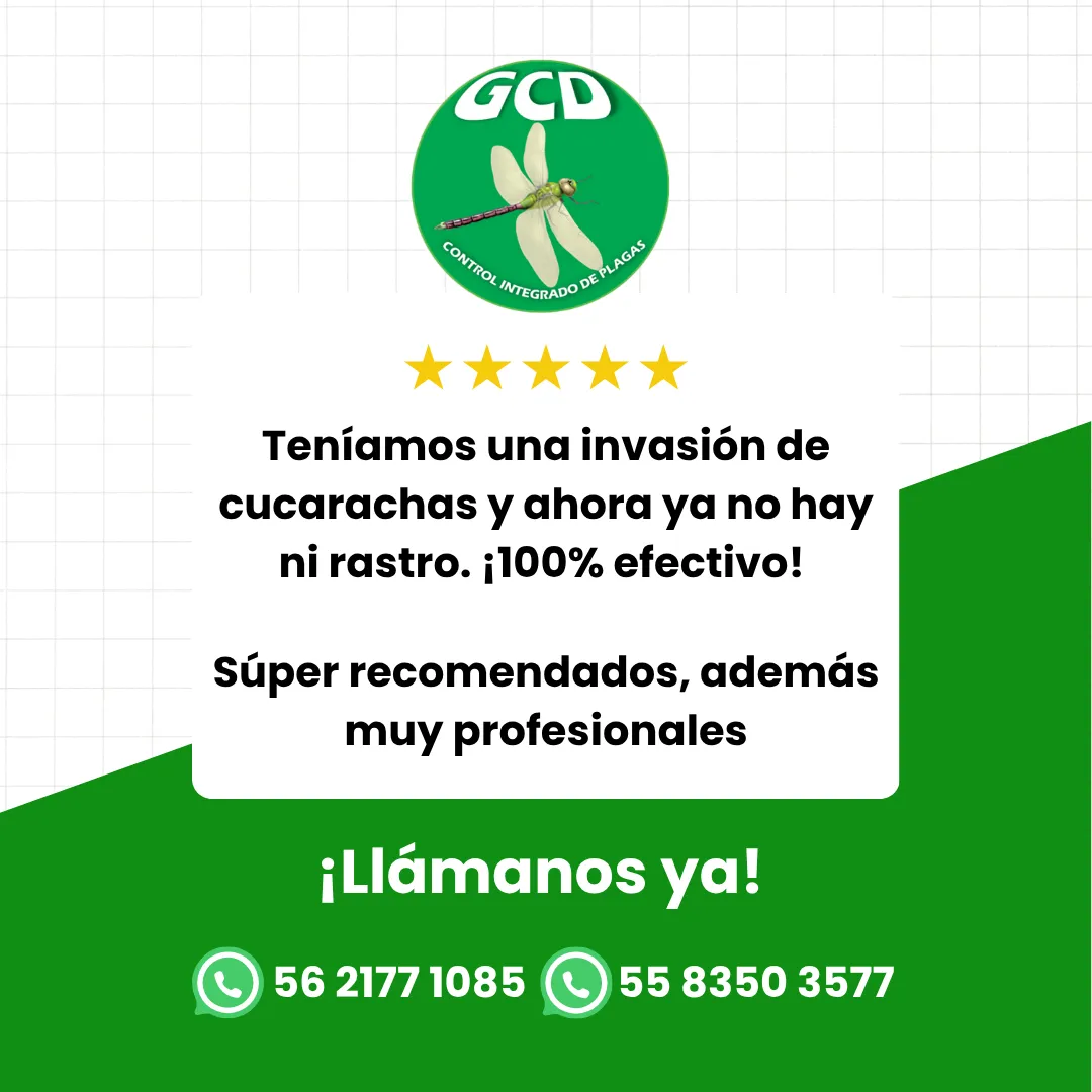Diseño 108