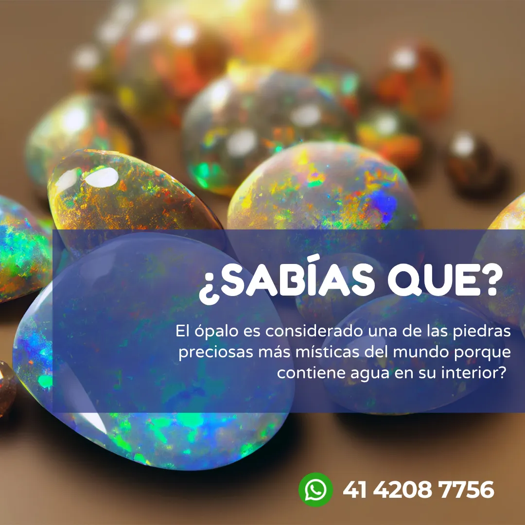 Diseño 12
