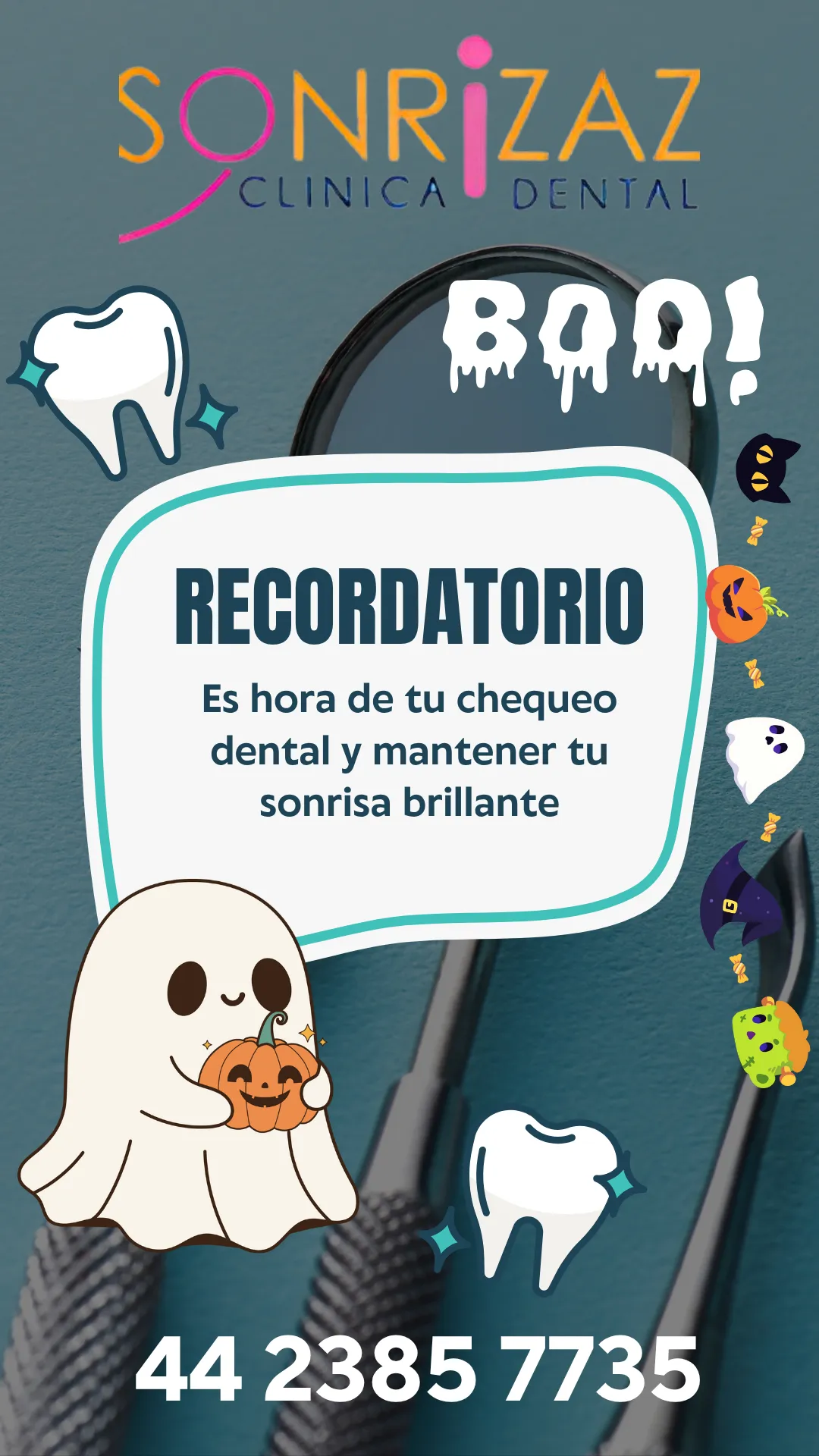 Diseño 141