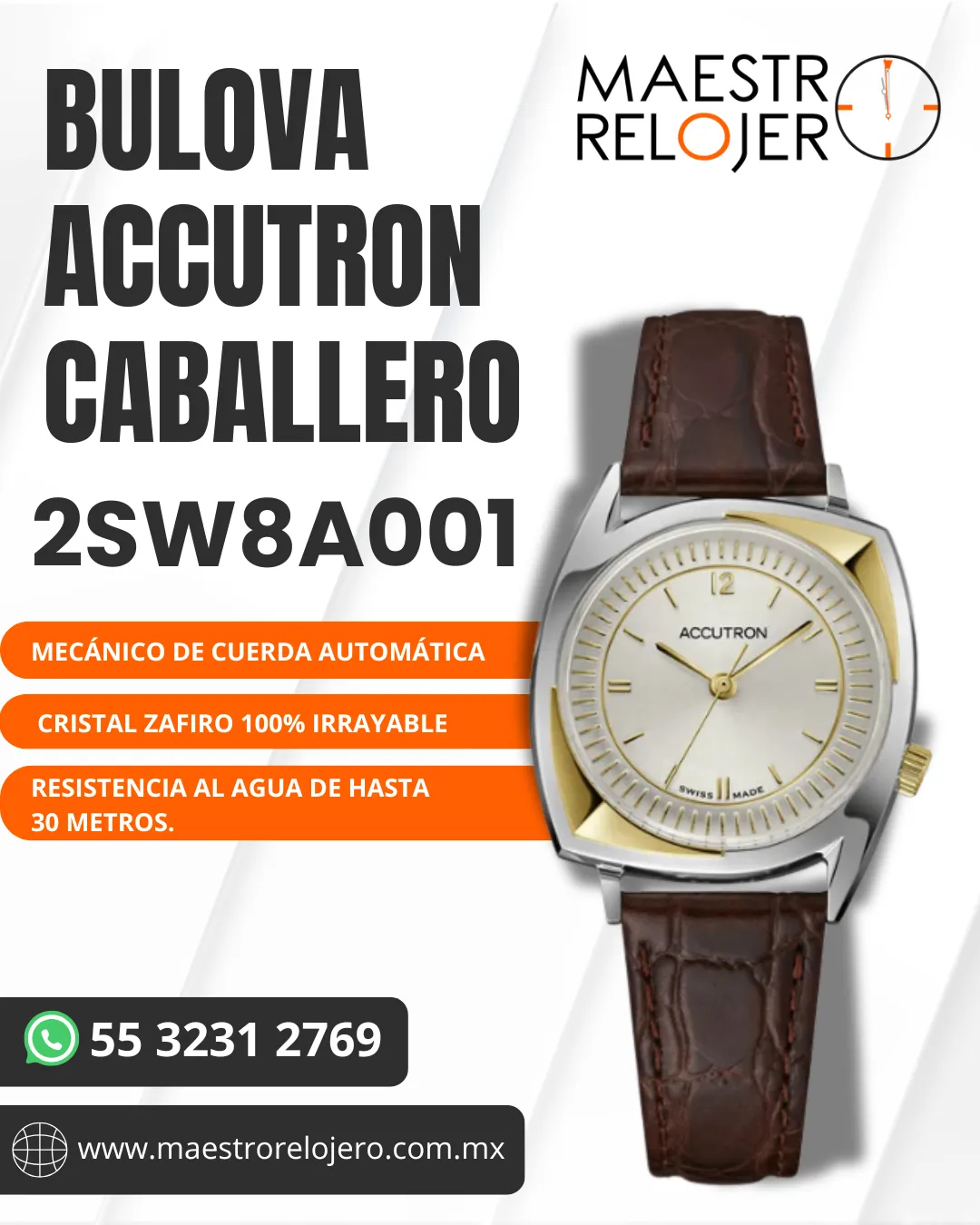 Diseño 19